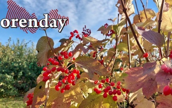 В Оренбургской области отменили опасность БПЛА 