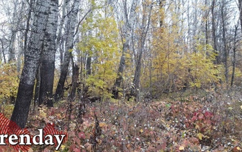 Оренбуржцев ждет холодный ветер, заморозки и даже мокрый снег