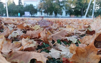 В Оренбургской области в ближайшие ночи обещают заморозки