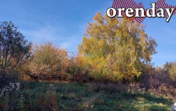 Сентябрь в разгаре: на кого разрешено охотиться в Оренбуржье прямо сейчас