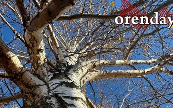 Дожди с мокрым снегом, ветер и пасмурное небо уготовила погода жителям Оренбуржья