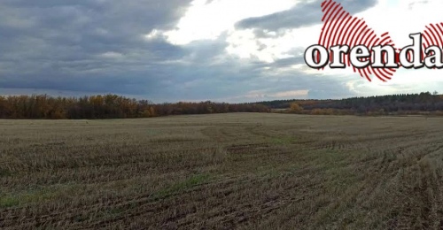 В Оренбуржье ожидаются заморозки до -3 градусов