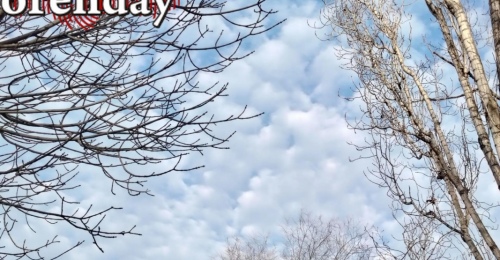 Оренбуржцев ждёт снег с дождём и гололёд