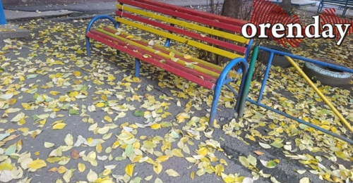 Оренбуржье провожает бабье лето: впереди - похолодание