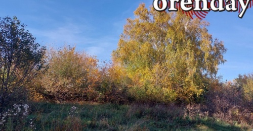 Сентябрь в разгаре: на кого разрешено охотиться в Оренбуржье прямо сейчас