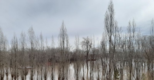 Уровень рек в Оренбуржье начал подниматься