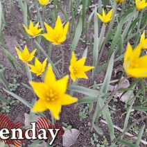 Апрель в Оренбургской области будет теплее обычного