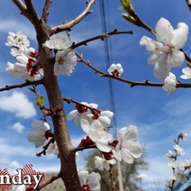 Погода, похоже, порадует оренбуржцев летним теплом лишь в 20-х числах мая