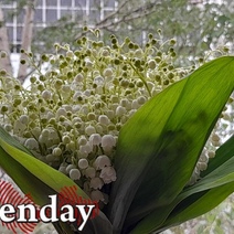 Оренбуржцам синоптики обещают комфортную погоду и небольшие дожди