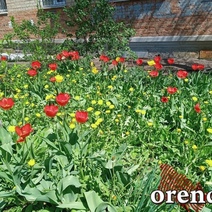 Оренбуржцы в выходные еще понежатся в тепле, а дальше – шапки и куртки