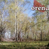 Эти выходные оренбуржцам суждено провести дома