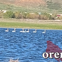 Как провели первомайские выходные оренбургские ВИПы