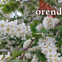 Какой будет погода в Оренбуржье на первой короткой рабочей неделе мая