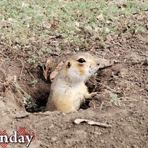 В Оренбуржье приходит летнее тепло