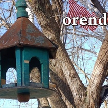 На выходных погода напомнит оренбуржцам об ушедшей зиме