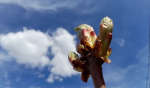 Оренбуржье накрыла аномальная для марта жара