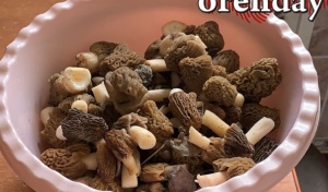 Жителям Оренбуржья напомнили об опасности первых весенних грибов