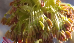 В Оренбуржье ожидается переменчивая погода