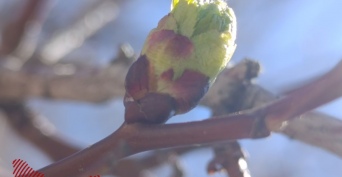 Оренбуржцев ждут первые грозы и резкое потепление до +24°С