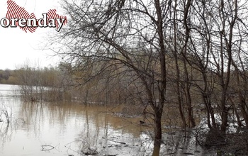 Теплая погода продержится в Оренбуржье до среды