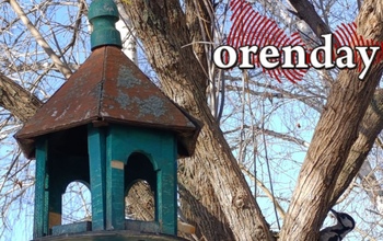 На выходных погода напомнит оренбуржцам об ушедшей зиме