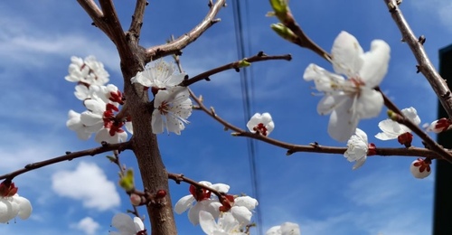 Оренбуржцы будут отдыхать в мае на два дня меньше, чем в прошлом году