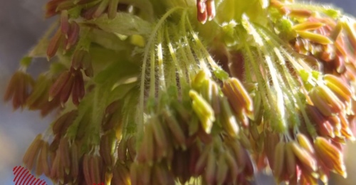 В Оренбуржье ожидается переменчивая погода