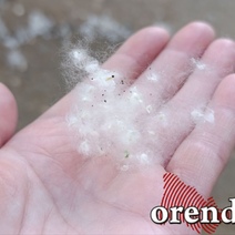 Тополиный пух доводит оренбуржцев до слёз и кашля