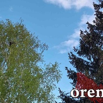 Внимание! На Оренбуржье надвигается сильный штормовой ветер