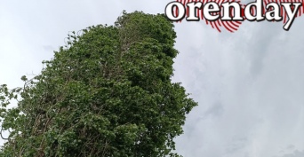 В Оренбуржье завтра ожидаются грозы и усиление ветра