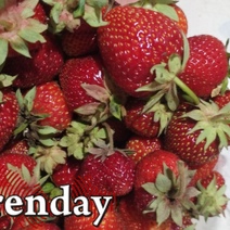 Почём нынче обходится лакомкам оренбургская ягода