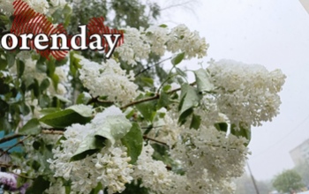 Стало известно, как в Оренбуржье изменится погода в ближайшие дни