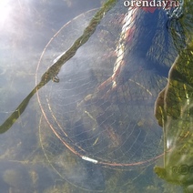 Оправдательный приговор сотруднику 