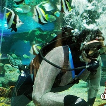 Первый на Южном Урале океанариум обещают построить в Оренбурге