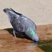 Где в Оренбуржье в выходные ждать дождика
