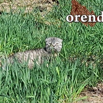 Чем порадует погода оренбуржцев на 1 сентября