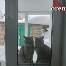 12 декабря в Оренбургской области обещают до -34