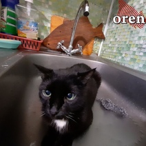 Как оренбуржцам легче пережить 40-градусную жару