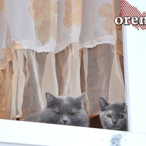 В Оренбуржье побит столетний рекорд по аномальному теплу зимой