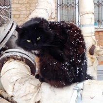 В ночь оренбуржцам обещают мокрый снег