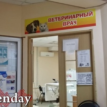 Оренбуржец судился с ветеринарами, которые лечили питомца 