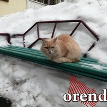 Оренбуржцев ждет ледяной дождь