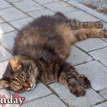 11 июля стало самым жарким в истории Оренбурга: что ждать от погоды дальше