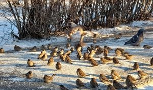 Каким будет март в Оренбуржье