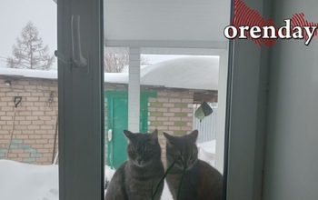 12 декабря в Оренбургской области обещают до -34