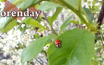 В Оренбуржье придет летнее тепло, но не во все районы