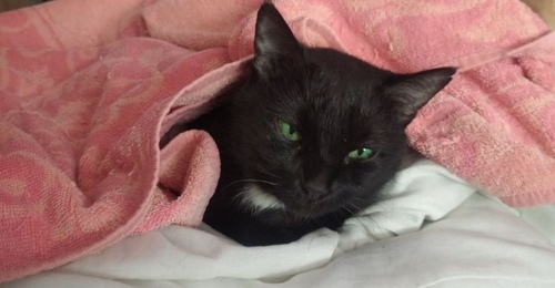 После потепления в Оренбургскую область вновь идут морозы