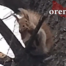 В зоне отдыха 