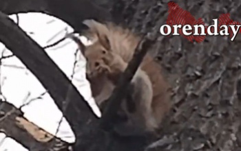 В зоне отдыха 