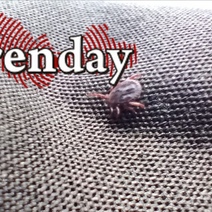 Клещи уже добрались до 133-х оренбуржцев